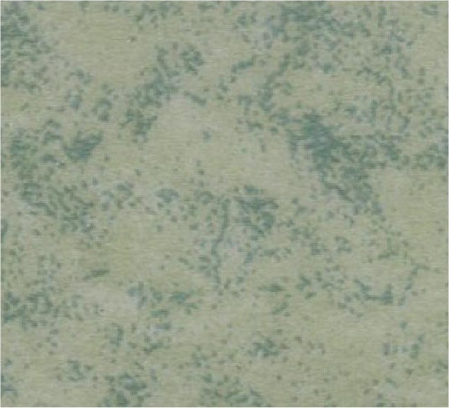 Commercial Heterogeneous Vinyl Sheet SF-12510