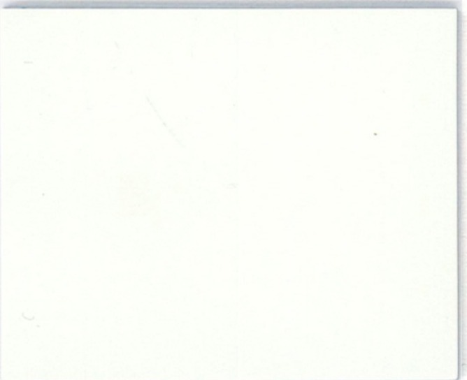 Commercial Heterogeneous Vinyl Sheet SF-1601
